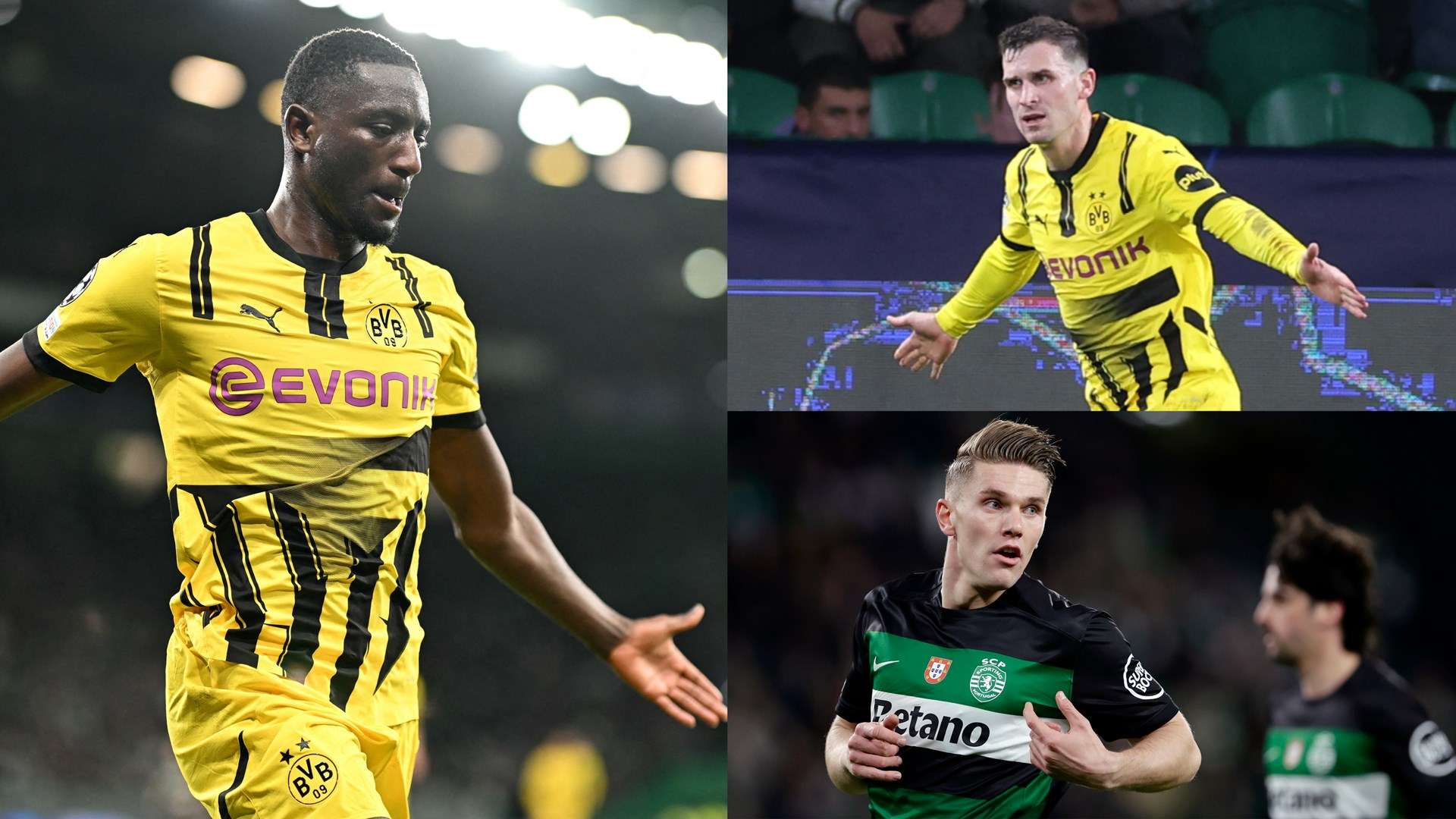 容的决心 容的决心