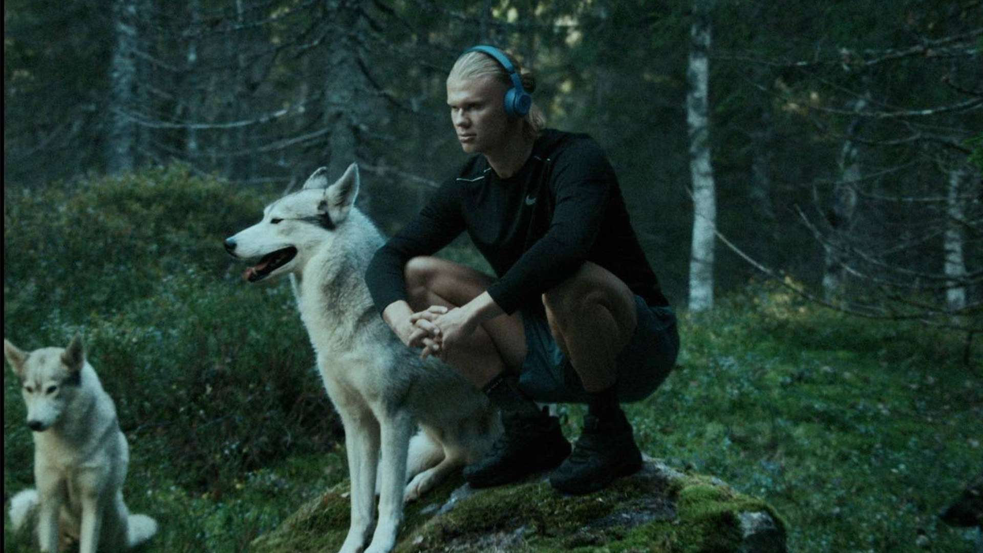 他们不仅需 他们不仅需